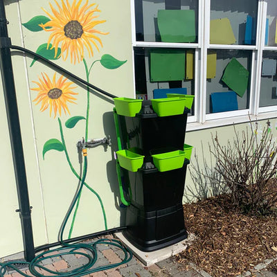 Water butts for schools