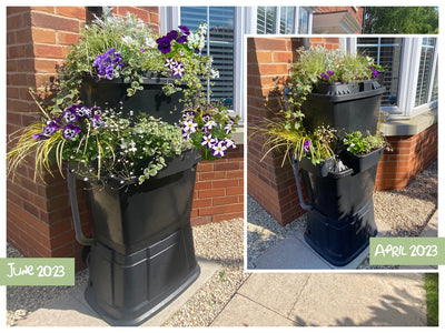 The Ultimate Guide to Spring Planting with a Rainwater Terrace Water Butt!