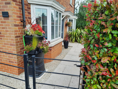 🍂 Autumn Rainwater Harvesting: How to Get the Most from Your Water Butt This Season