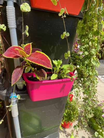 🌧️ Why Rainwater Harvesting is the Smartest Way to Save Water at Home and How to Save 20% on the UK's Most Innovative Water Butt
