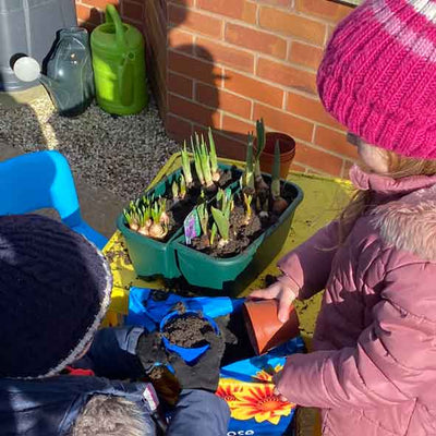 Planting Spring Bulbs in Pots with Children: A Blooming Adventure