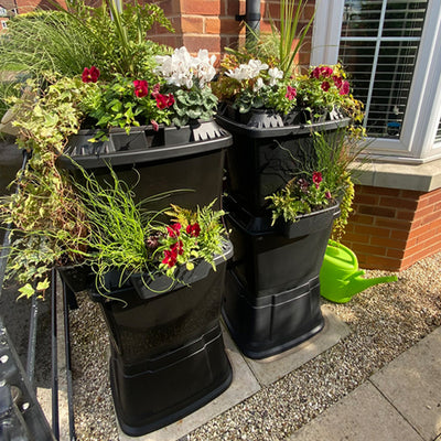 Our favourite Autumn plants for water butt planters