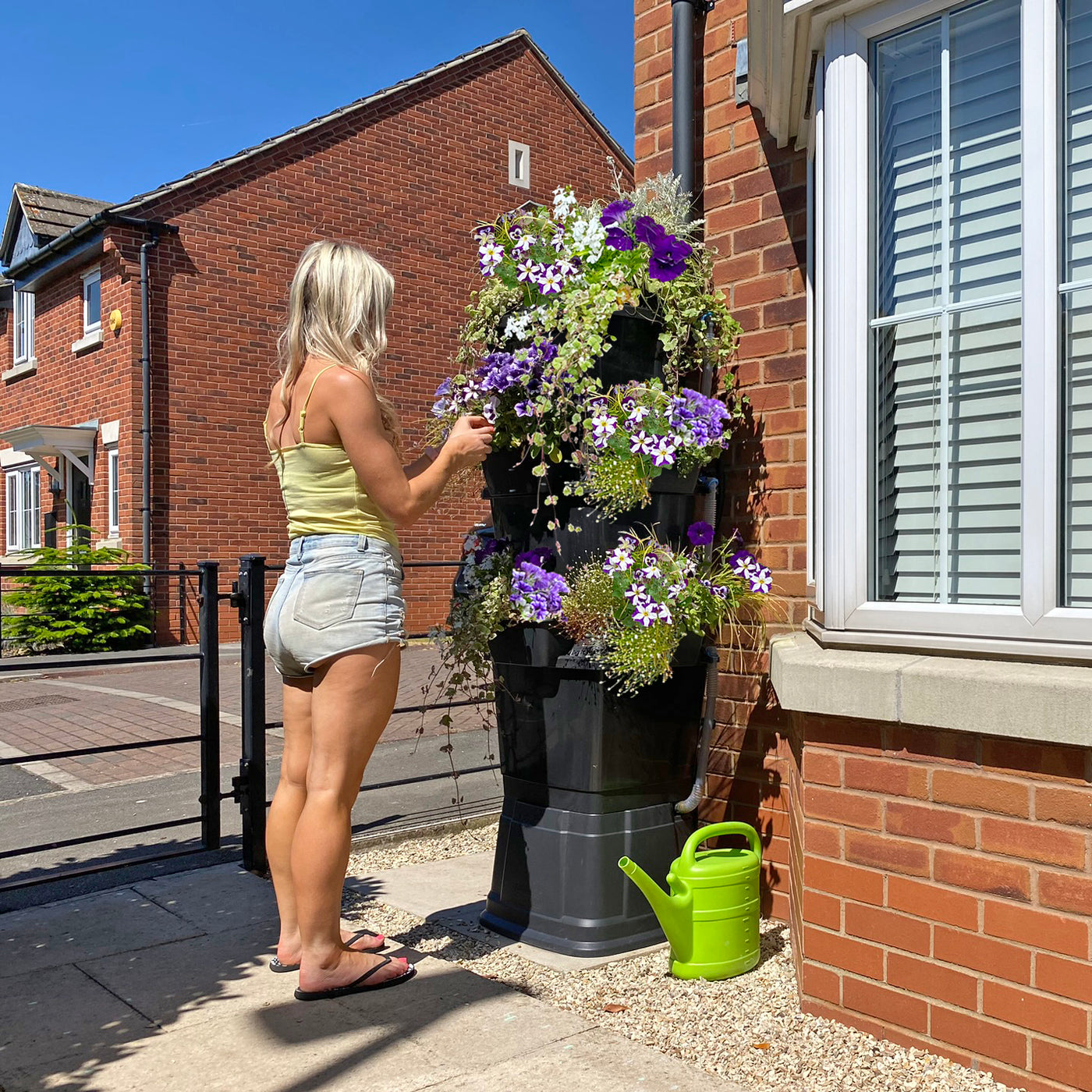 black 200 litre water butt planter covered in purple trailing hanging basket flowers with girl removing dead heads to prolong flowering