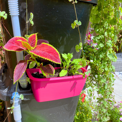 Water butt side planters