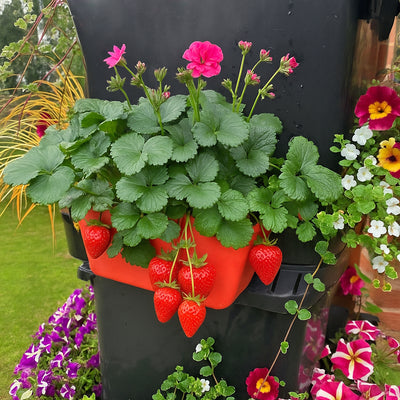 Water butt side planters