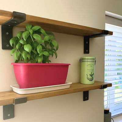 A lush basil plant growing in a bright pink planter on a wooden floating kitchen shelf, next to a mint green biscuit tin and a window with white blinds.
