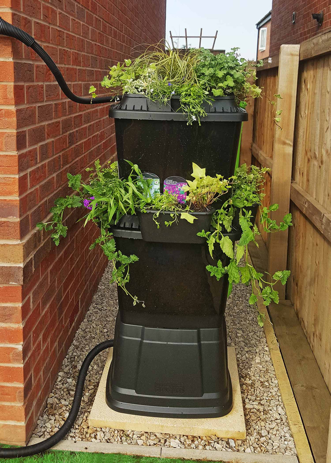 Gallery | Rainwater Terrace Water Butts