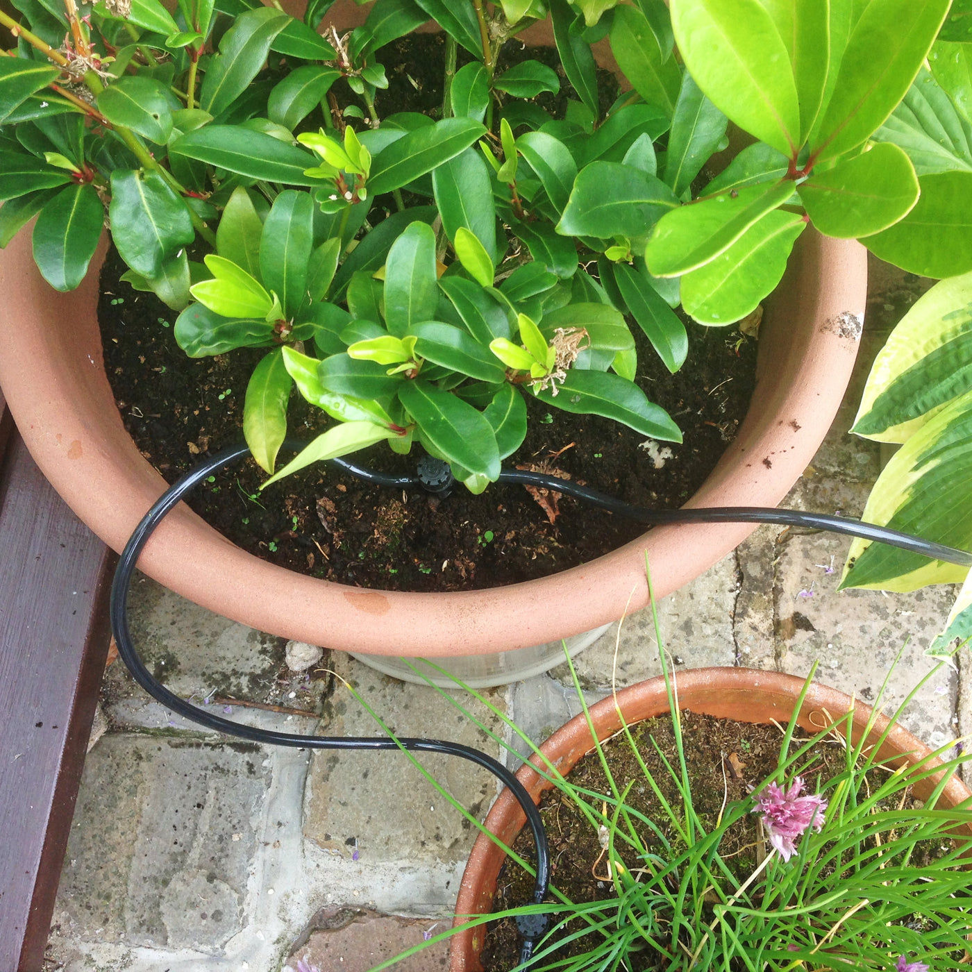 200 Litre 3 Tier Water Butt with Sage Green Planters and Drip Irrigation Kit- BLACK FRIDAY DAY 8