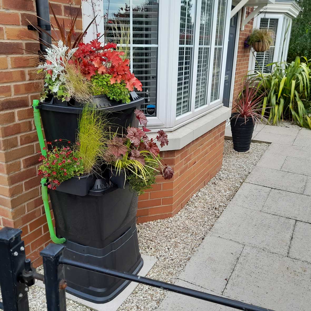 black 134 litre water butt connected to downpipe at front of house planted with flowers