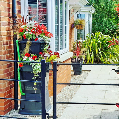 black 134 litre water butt with clip on planters connected to downpipe at the front of a red brick house