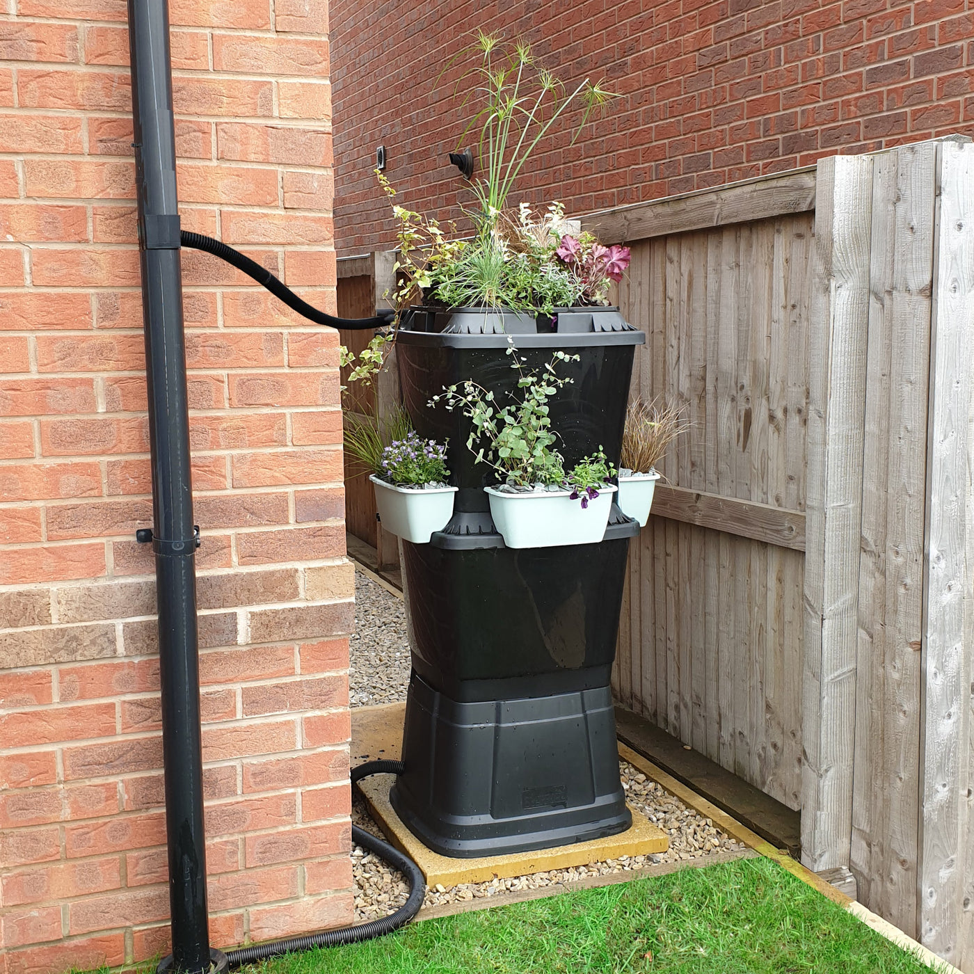 black water butt with duck egg blue planters connected to downpipe on red brick new build house